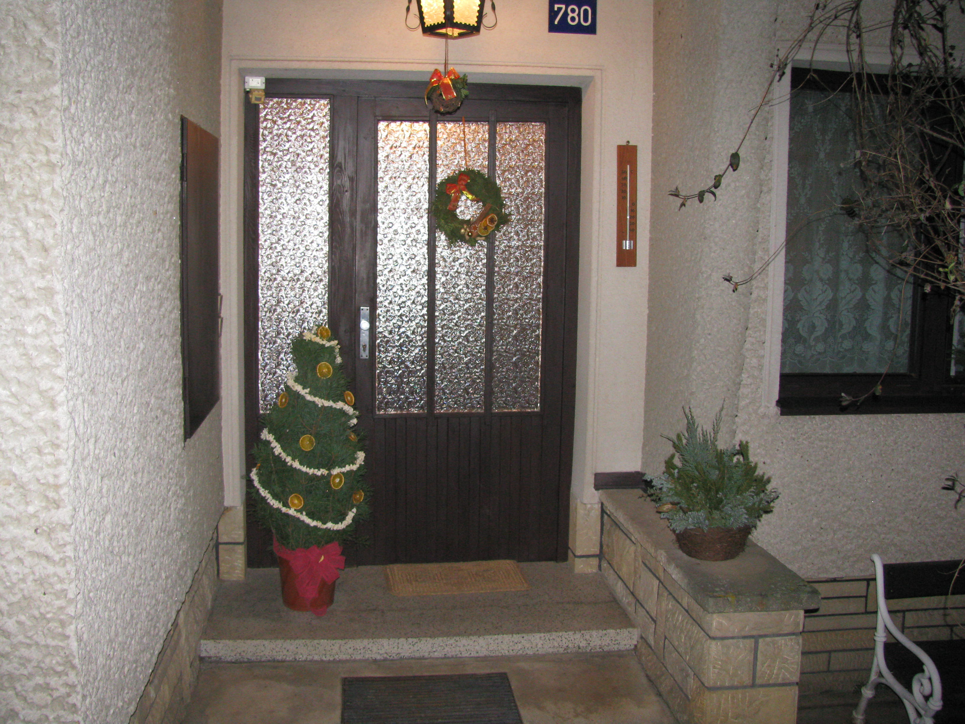 prosinec09 058.JPG